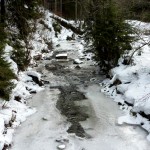 studánka Pramen Smradlavá - na Bílé